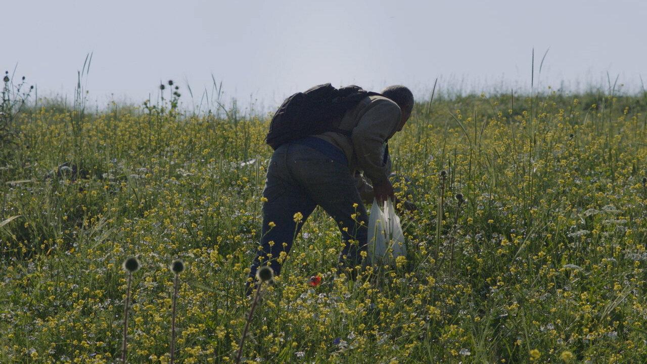 FORAGERS