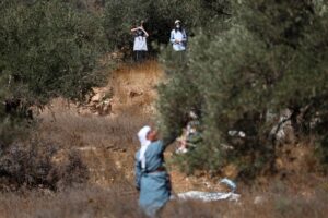 Izraelscy osadnicy obserwują, jak Palestyńczyk zbiera oliwki w pobliżu Ramallah na izraelsko-okupowanym Zachodnim Brzegu [Foto: Mohamad Torokman/Reuters]