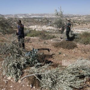 26.10.2025 - Al-Minya niedaleko Betlejem