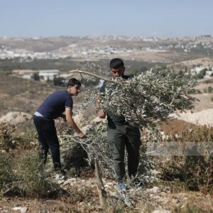 26.10.2025 - Al-Minya niedaleko Betlejem