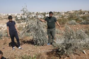 26.10.2025 - Al-Minya niedaleko Betlejem