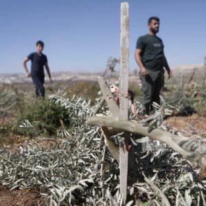 26.10.2025 - Al-Minya niedaleko Betlejem